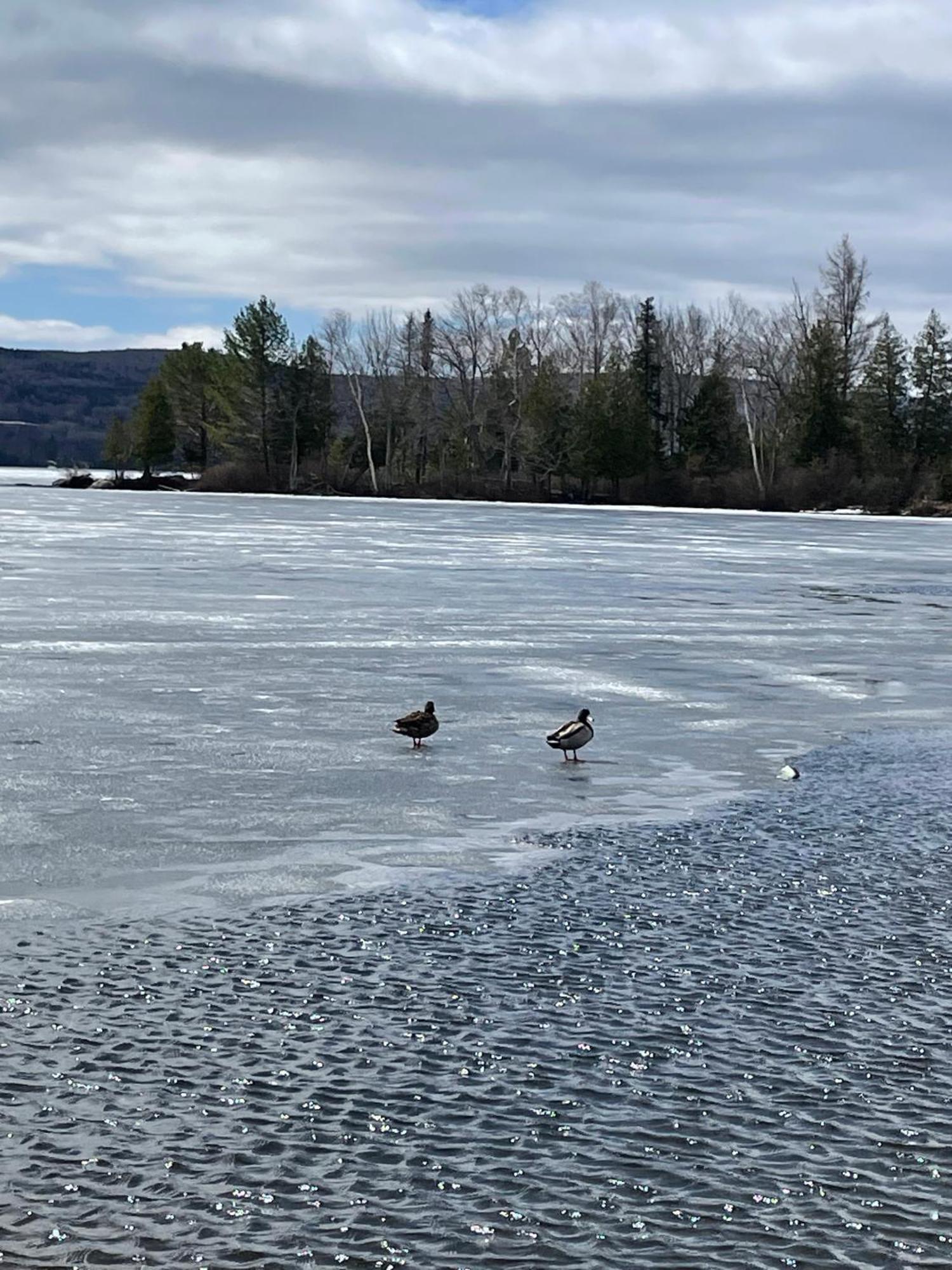 Rangeley Town & Lake Eksteriør billede